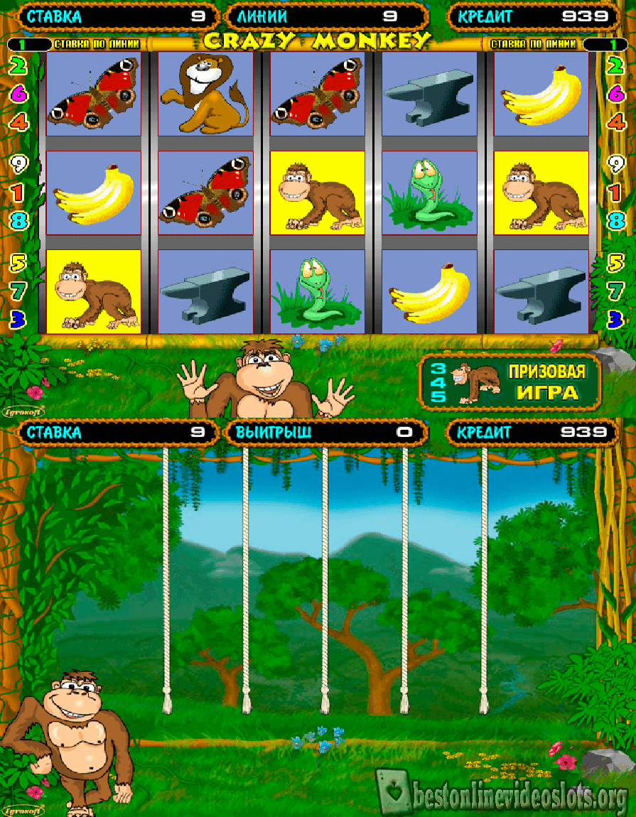 Бонус-игра в Crazy Monkey
